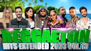 PACK REGGAETON HITS EXTENDED 2022 VOL.13
